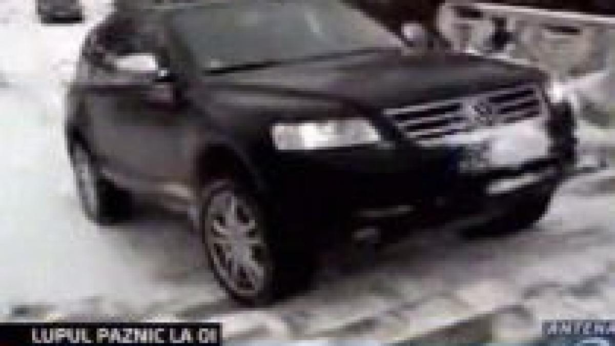 bacau cu suv ul pe scarile dintr un parc politistii spectatori video