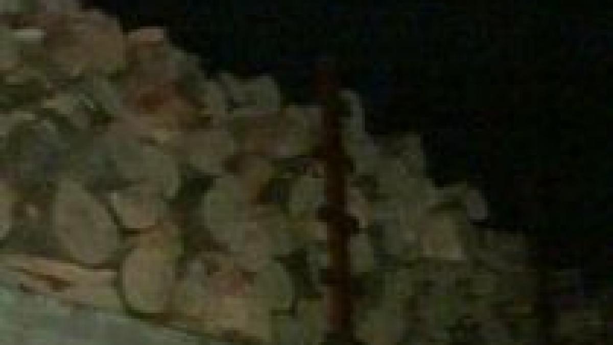 captura impresionanta de lemne pe autostrada bucuresti pitesti