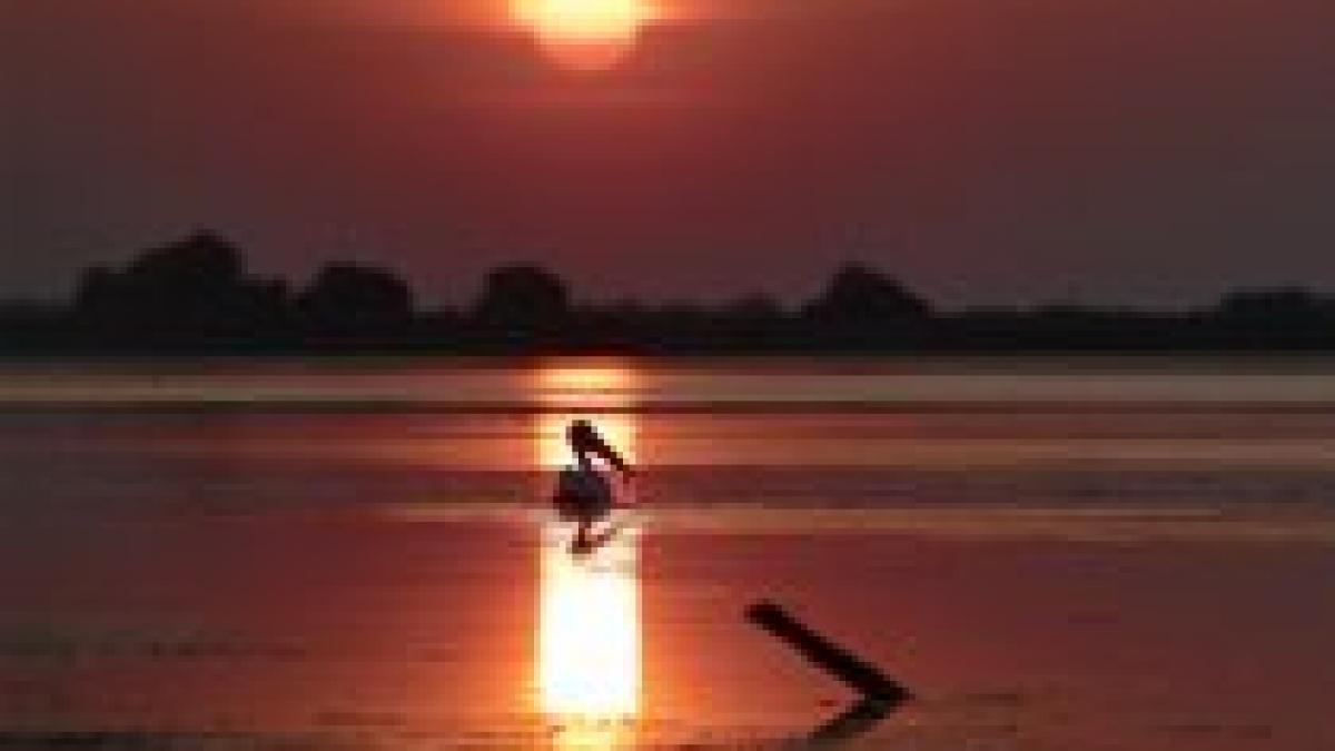 the shape of light expozitie caritabila de fine art photography a artistului nicolae cosniceru foto