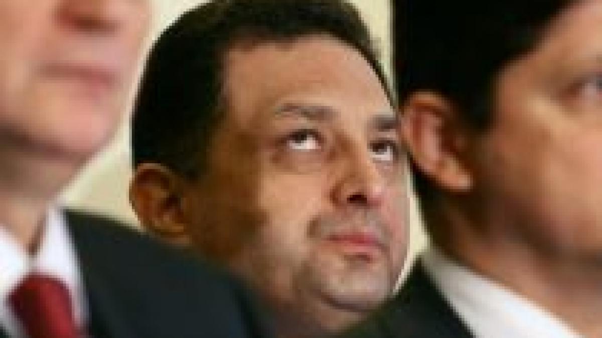 umbra lui mitrea la giurgiu vanghelie comparat de madalin voicu cu scroafa urcata n pom