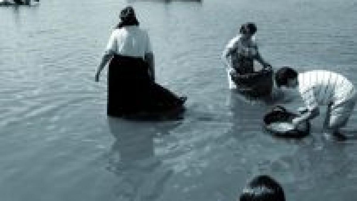 fotografie de jurnal editia a v a nu rata vernisajul unei expozitii memorabile foto