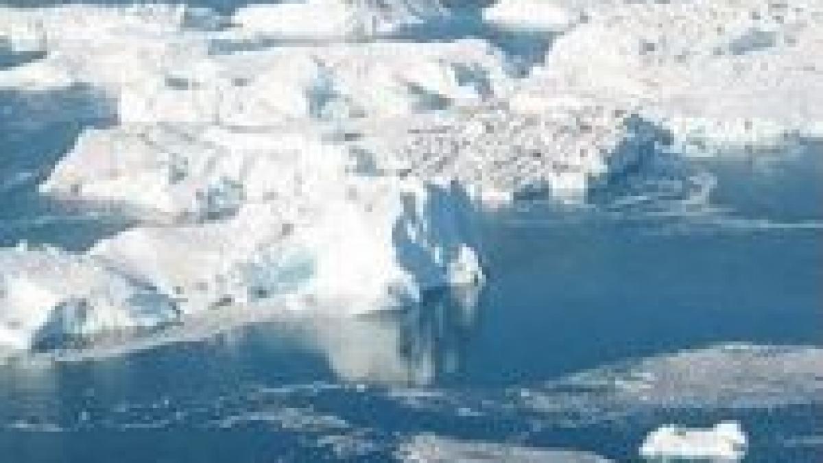 regiunile polare se topesc mai repede decat se credea