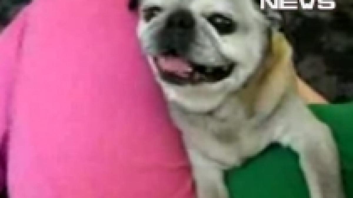 mic dar inspaimantator ascultati cel mai bizar marait din lume video