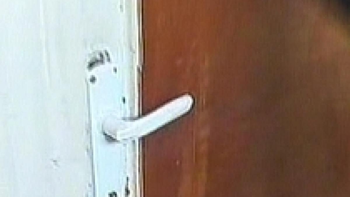 universitatea din craiova fostul sef al catedrei de istorie a intrat in greva foamei pentru a nu fi