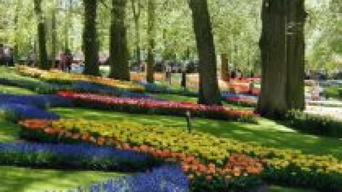 primavara ploioasa si calda prognoza meteo pentru urmatoarele trei luni