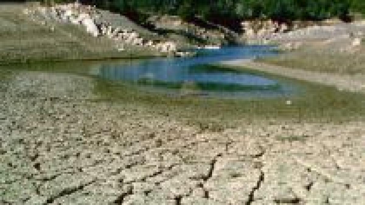 stare de urgenta in california statul se confrunta cu cea mai costisitoare seceta din istorie