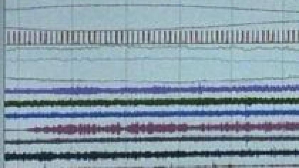 cutremur cu magnitudinea de 3 6 grade pe scara richter in zona focsani