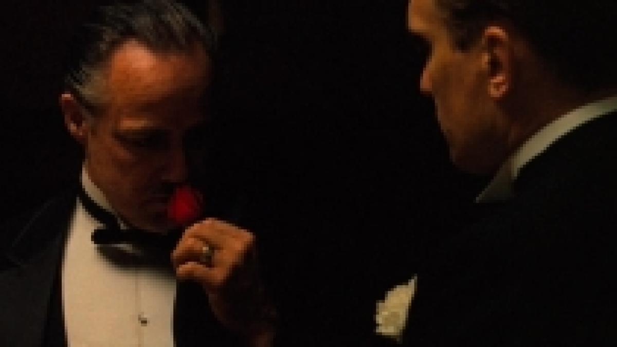 organizatii antimafia din italia romanii amenintati de cosa nostra