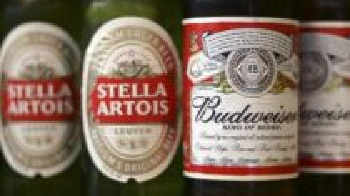 scadere a profitului de 95 pentru stella artois