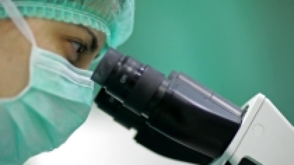 enzima care determina raspandirea cancerului in corp descoperita de cercetatorii americani