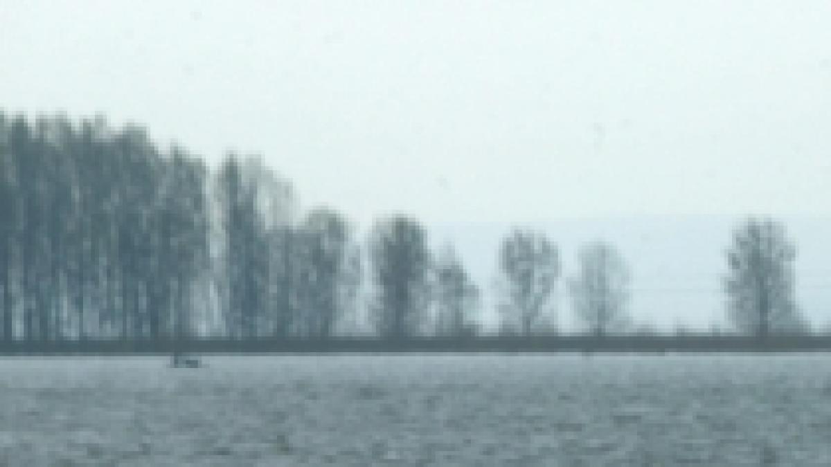 raul bistrita poluat accidental cu amoniac