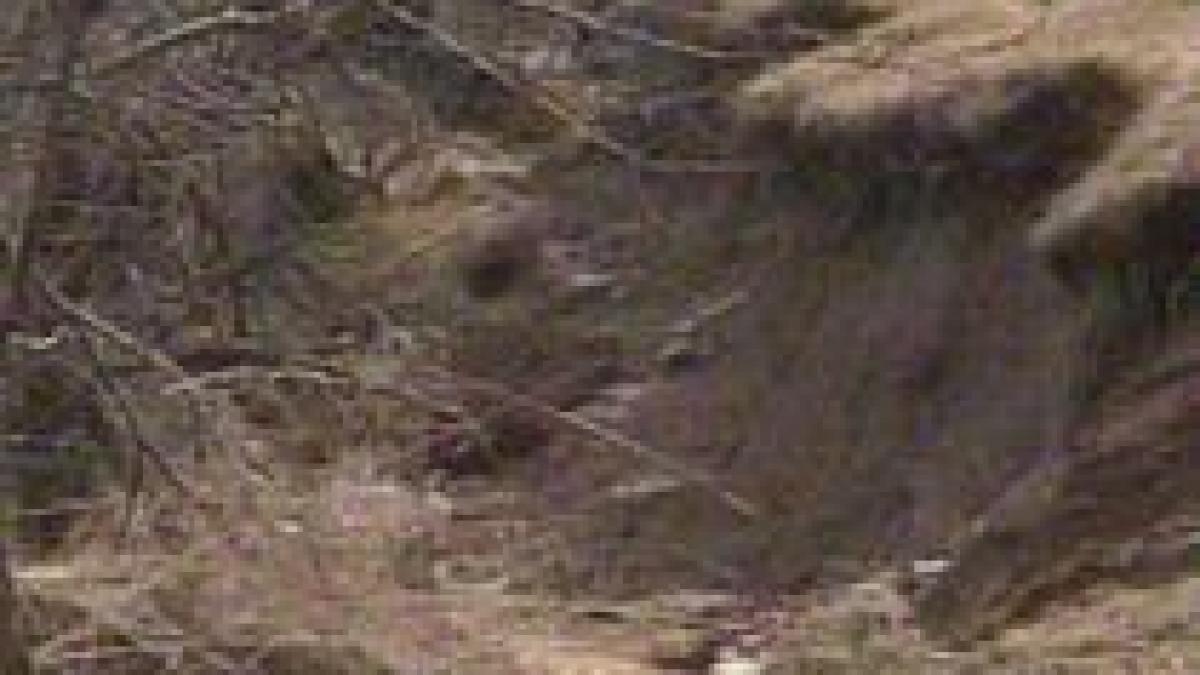 alunecari de teren in alba sase locuinte in pericol de a fi distruse