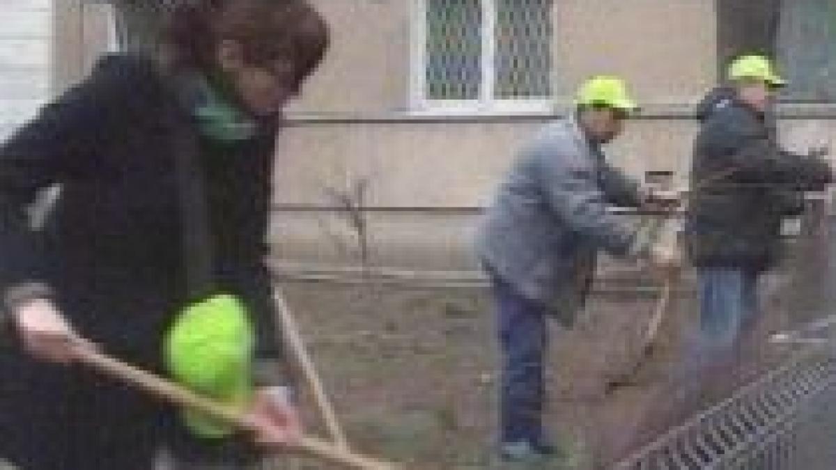 primaria bucurestiului a demarat campania capitala creste verde