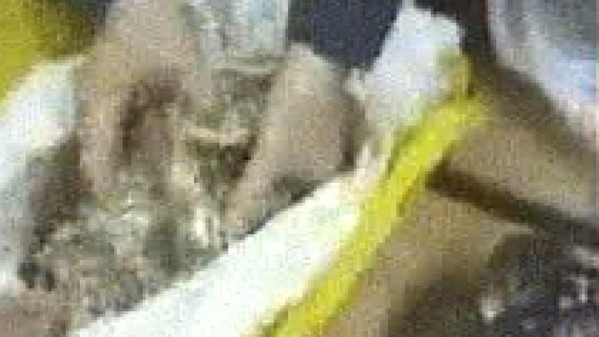 20 de kilograme de bijuterii gasite de vamesi in bagajul unei bucurestence