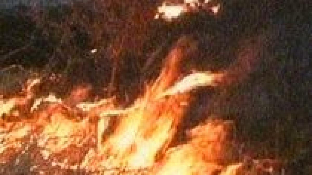 zece hectare de vegetatie uscata incendiate in comuna scoarta