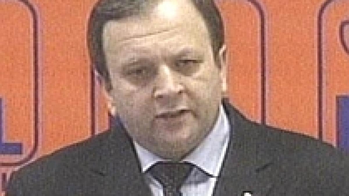 blaga si flutur coordonatorii campaniei pd l pentru parlamentul european