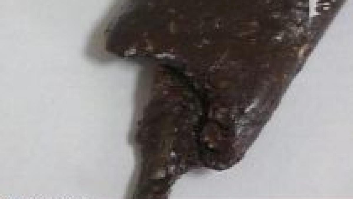 iasi un tanar a gasit o bucata de fier intr un baton cu proteine