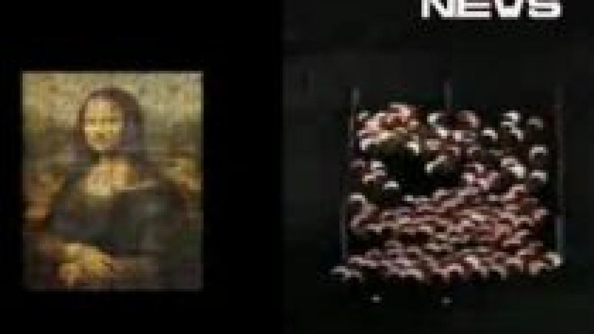 arta cu ciobani o turma de oi si multe beculete video