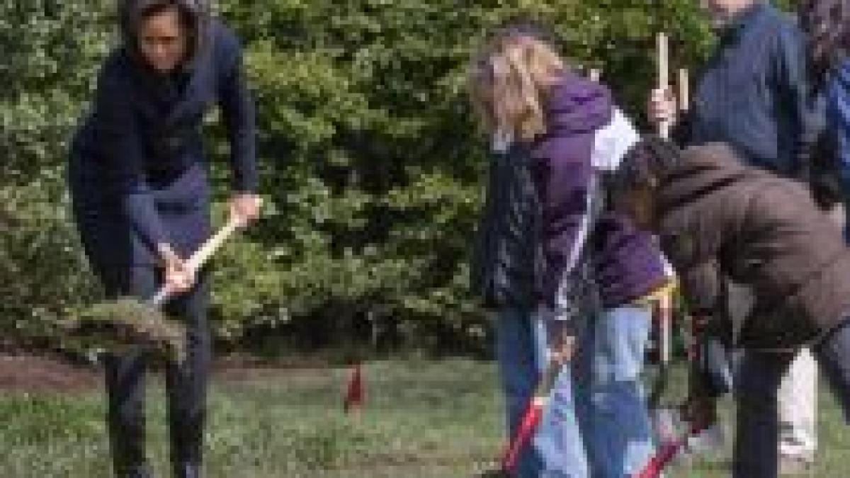 michelle obama a participat la amenajarea unei gradini de zarzavat in parcul casei albe