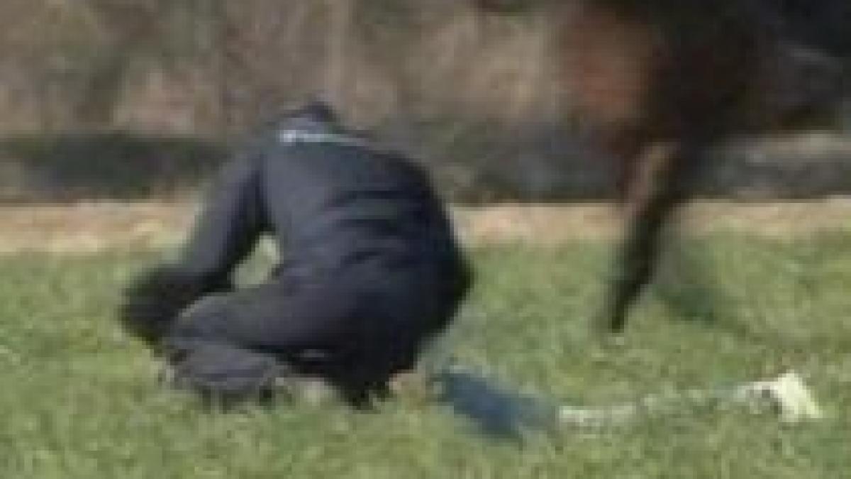 un grup de militanti pacifisti au incercat sa ocupe sediul nato de la bruxelles