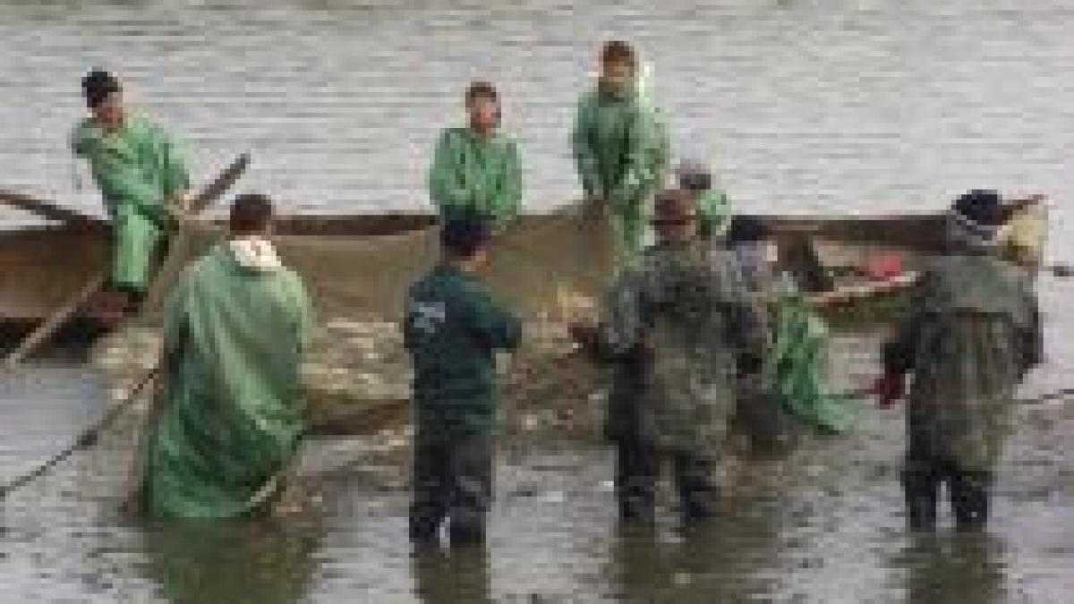 Bazinele piscicole vor fi concesionate

