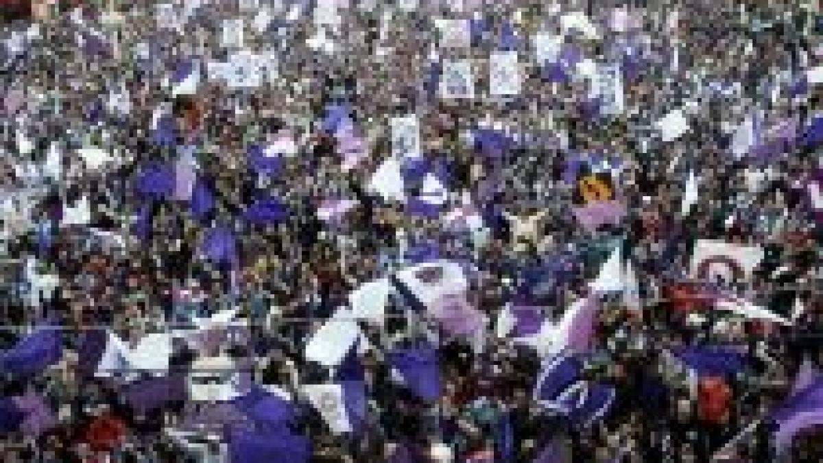 consiliul local taie din cheltuieli si fc timisoara va primi de doua ori mai putini bani