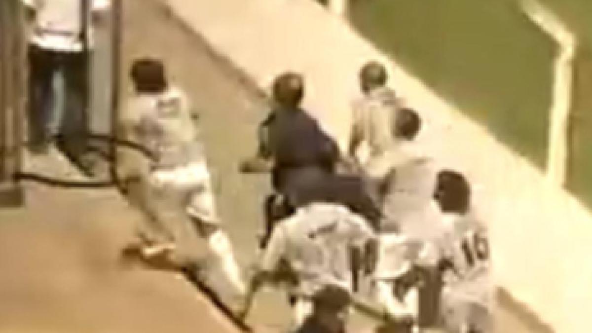 bataie ca in sapte pacate si o echipa intreaga eliminata in argentina video