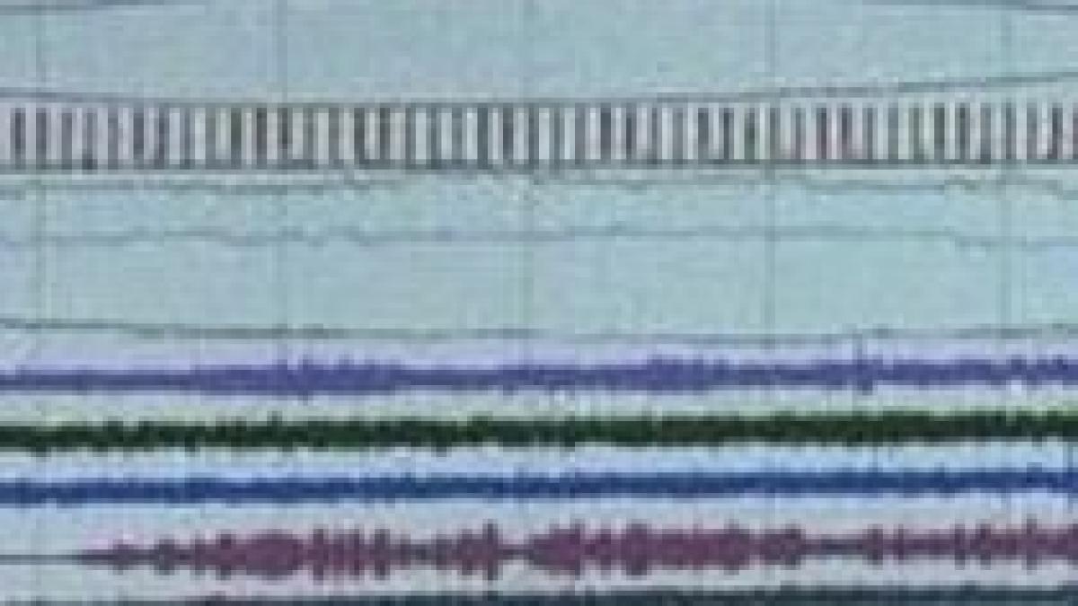 japonia cutremur cu magnitudinea 6 pe scara richter