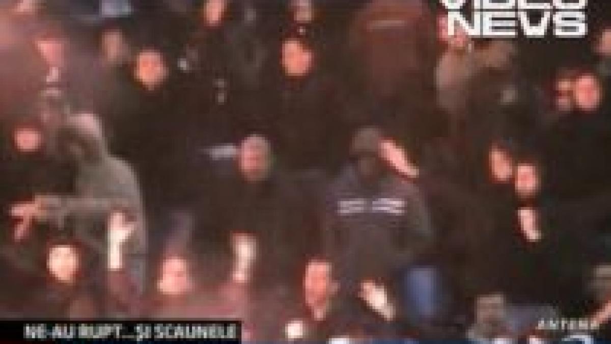 scaune rupte fete umflate si bate pe spinare la meciul romania serbia video