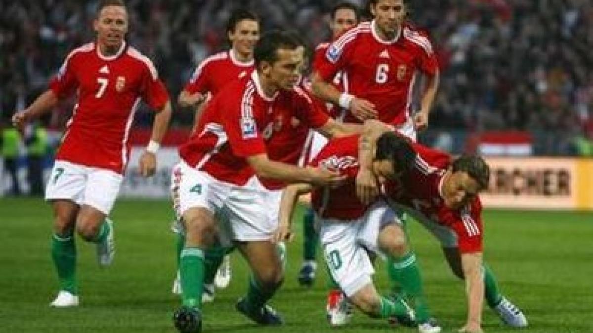 preliminarii cm 2010 grupa 1 danemarca si ungaria sprint spre mondiale