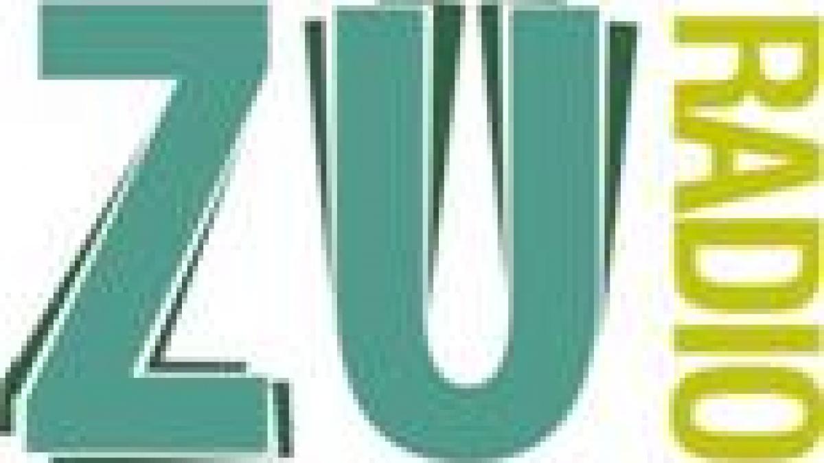 mega party radio zu alaturi de caprita intr un club din bucuresti