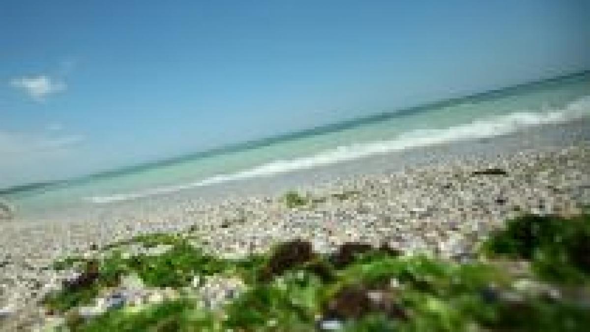 ei le au dat ei le au luat guvernul vrea sa interzica acordarea tichetelor cadou si a celor de