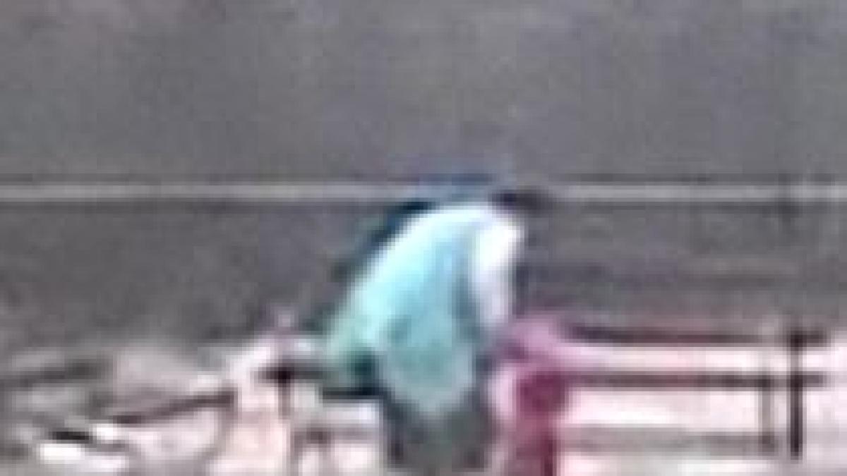 educatoare care bat copiii la gradinita filmate la cluj video