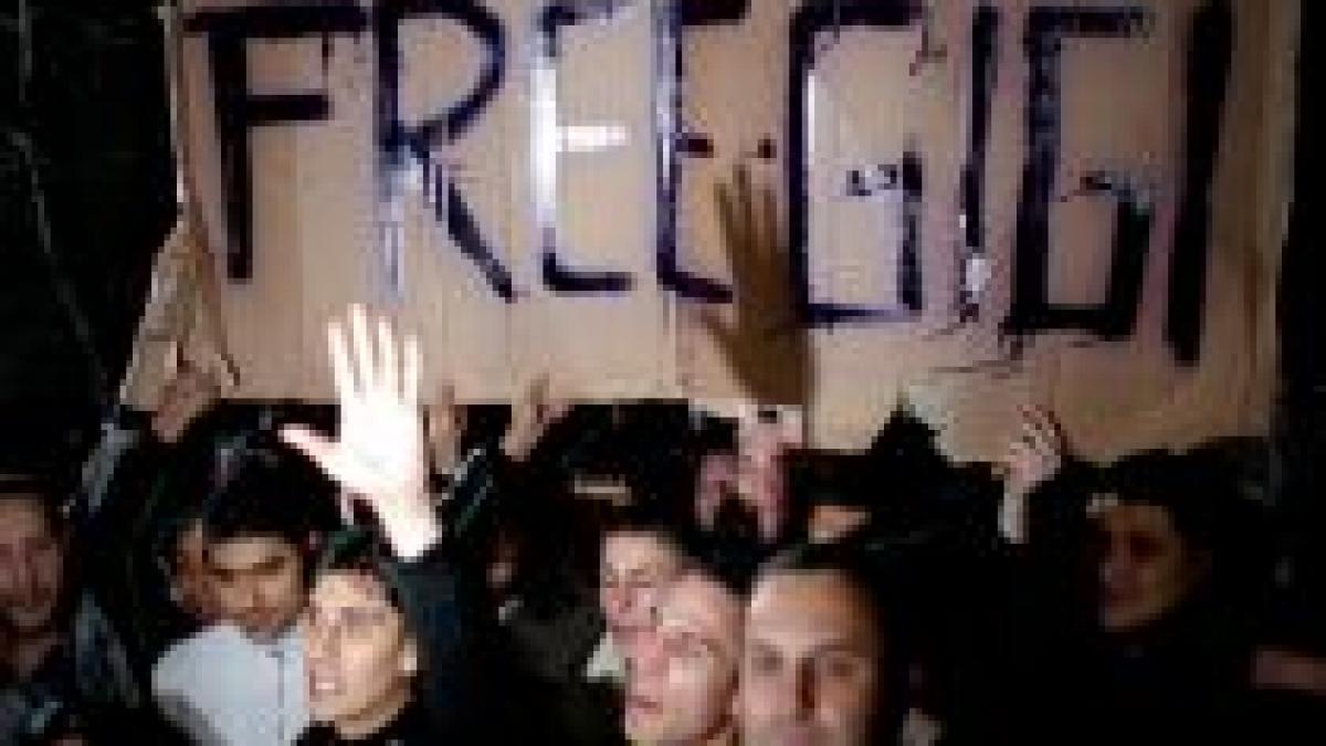 free gigi proteste pentru eliberarea lui becali foto video