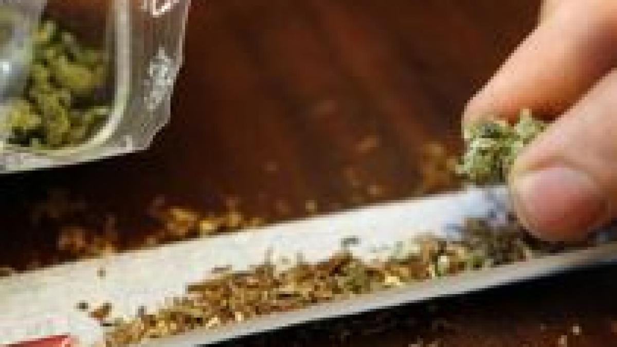 ziua mondiala a sanatatii la bucuresti problema elevilor traficul de droguri din apropierea scolilor