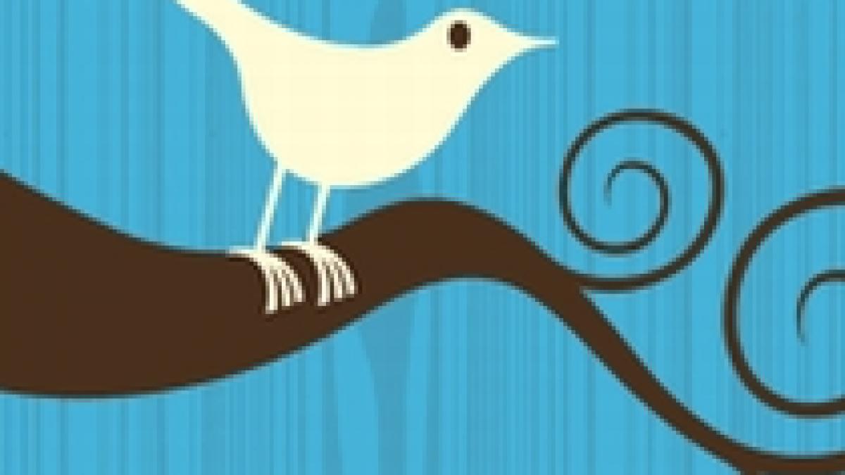 reteaua twitter tinta unui vierme informatic creat de un adolescent de 17 ani