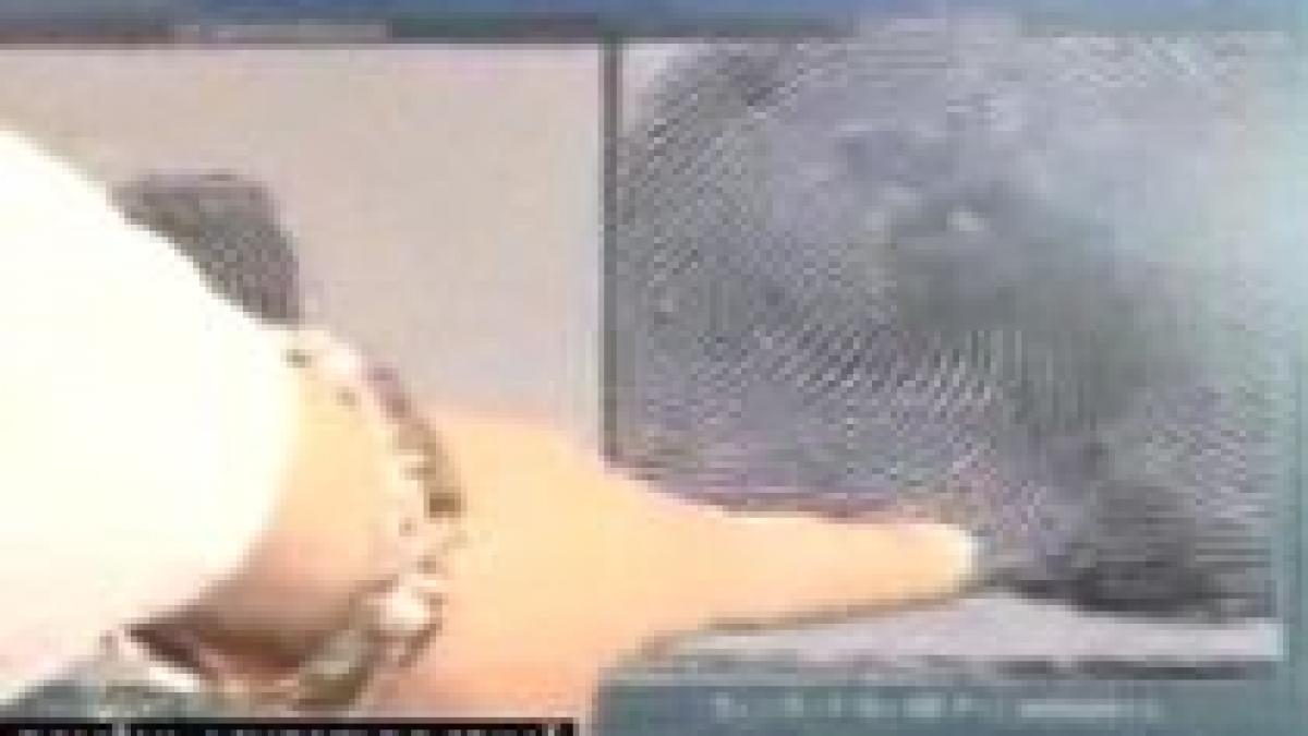 3 romani acuzati ca au omorat un cunoscut om de afaceri italian si pe sotia acestuia