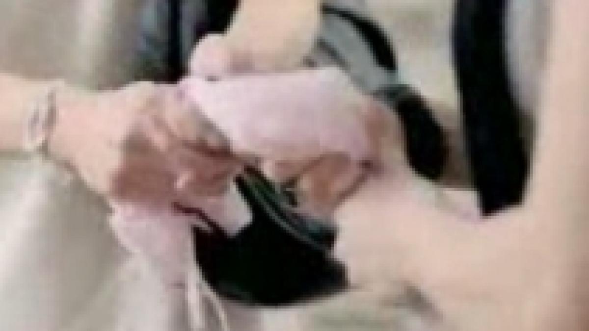 in magazin ca in jungla de ce e mai bine sa faci cumparaturi online video