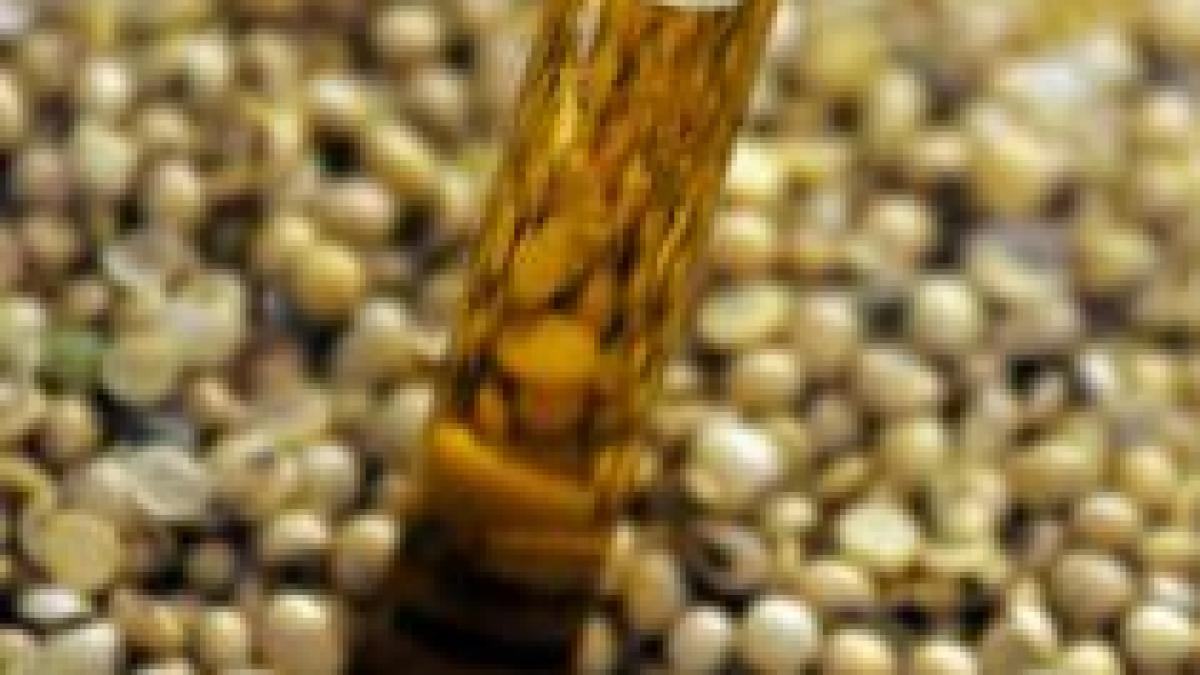 promisiuni subventie de 10 000 de euro hectar de plante energetice