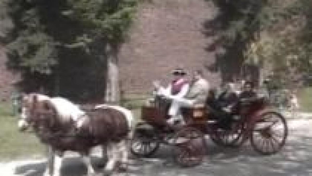 elena udrea turismul a crescut cu 20 fata de 2008