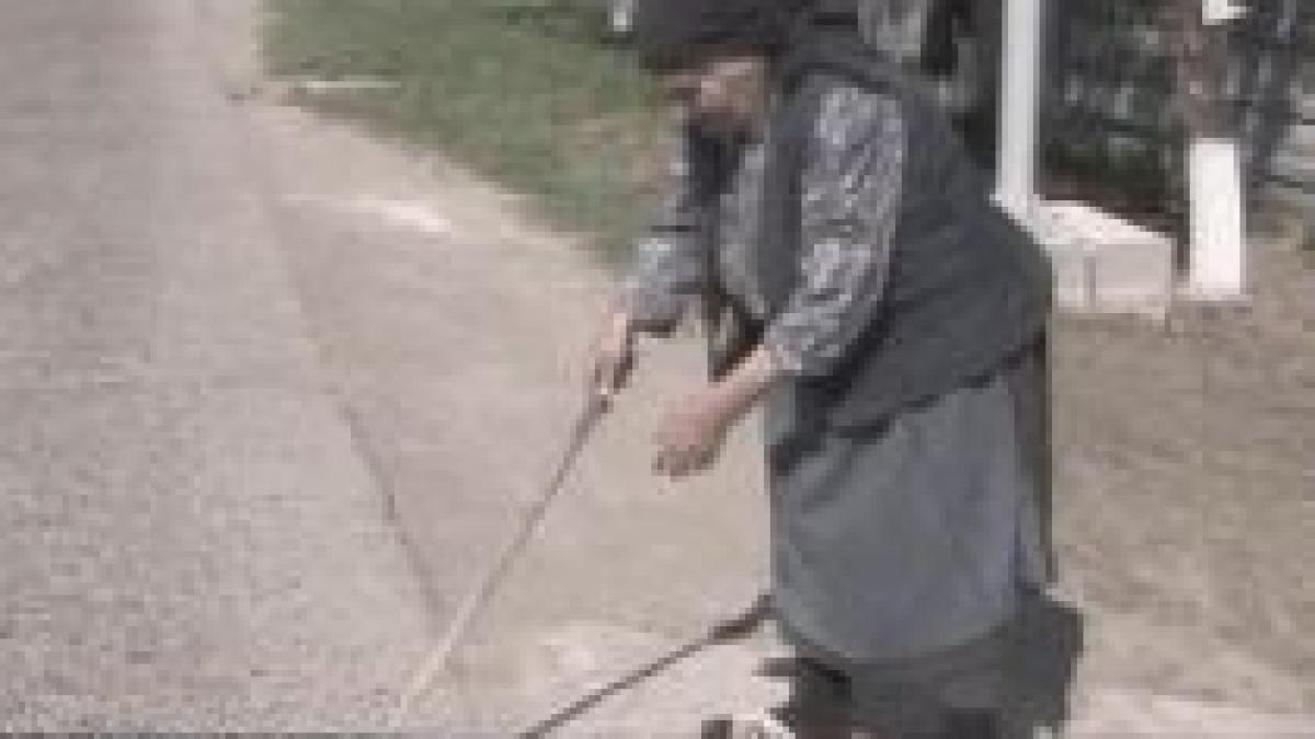 o batrana a gasit o borseta cu 5 000 de euro si a inapoiat o proprietarului video