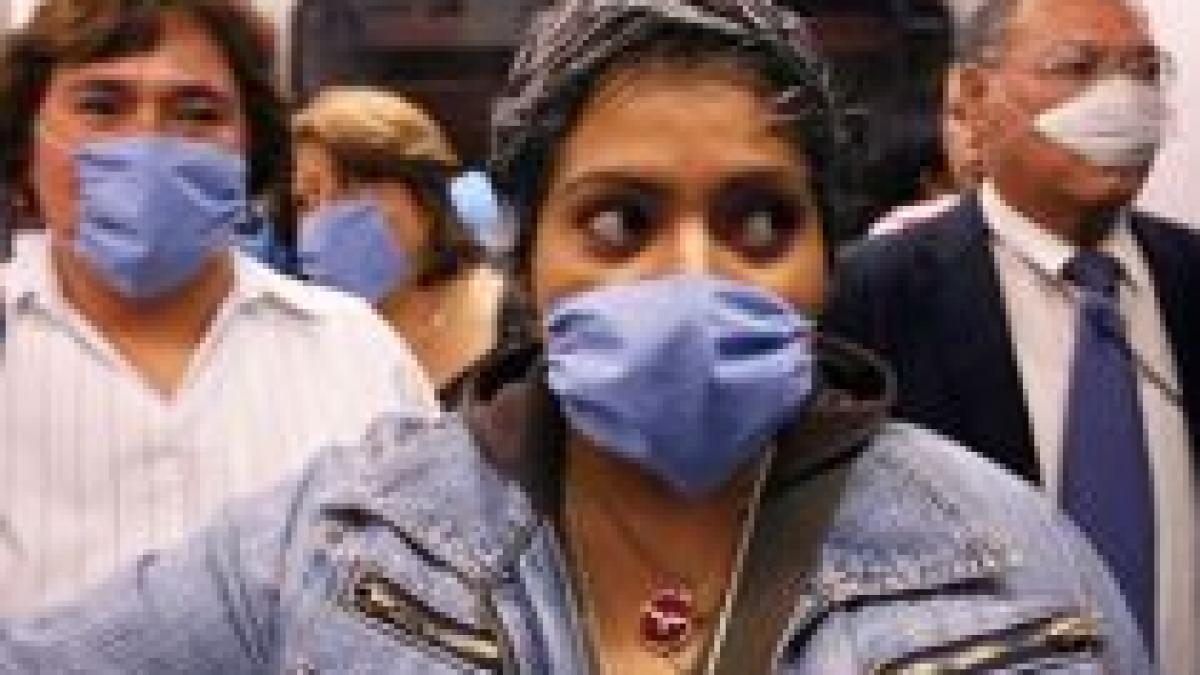 oms ar putea ridica nivelul de alerta la 5 din 6 in cazul gripei porcine