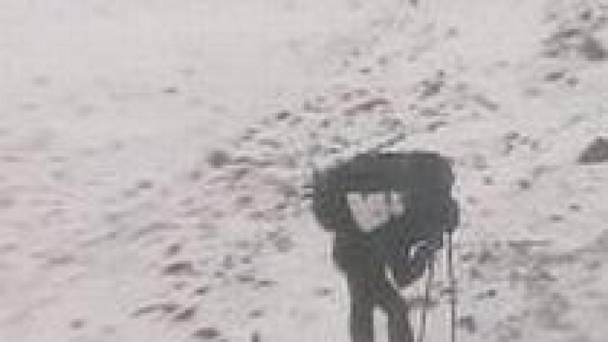 sase oameni au murit dupa ce au fost surprinsi de o avalansa in muntii alpi