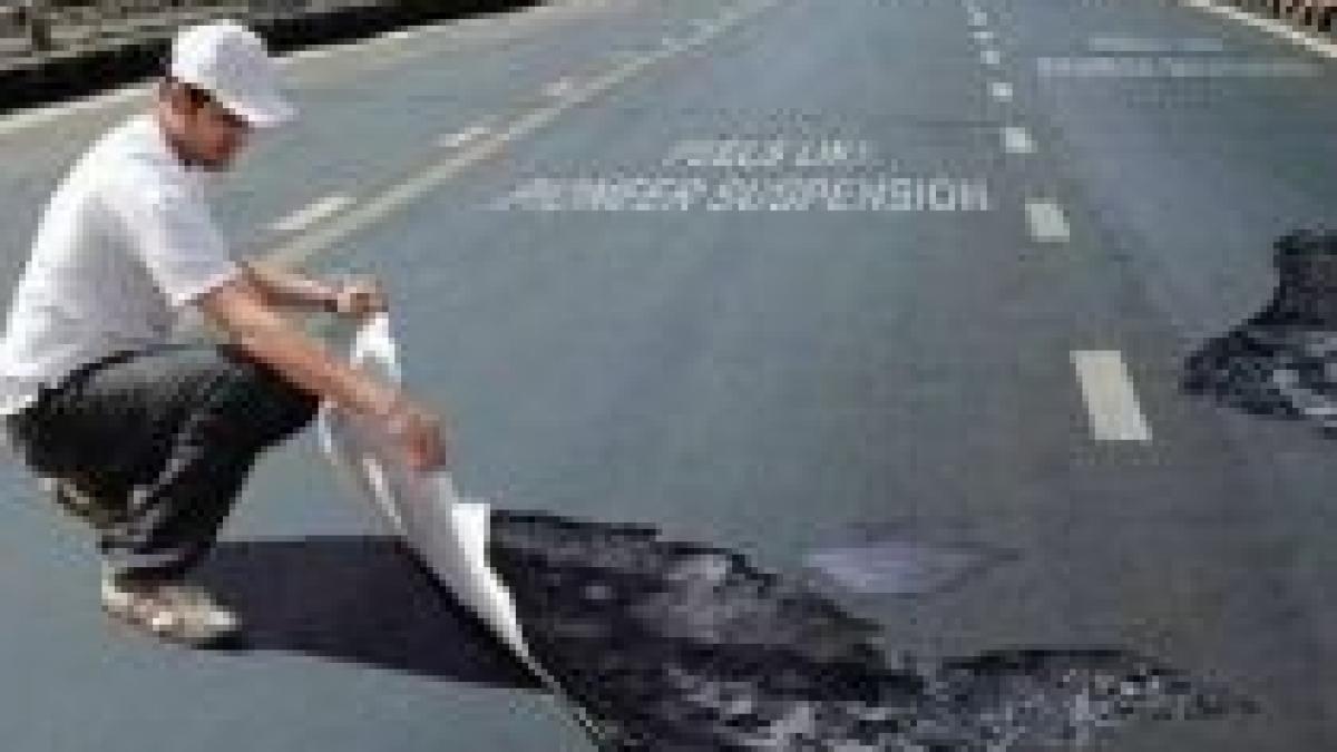 sarcini de inspectori guvernamentali masurat gropi si numarat copaci