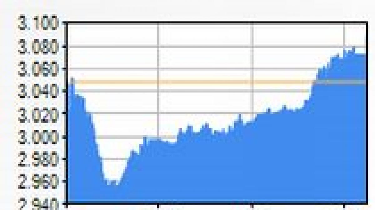 bvb inchide pe verde indicele bet la 1 41