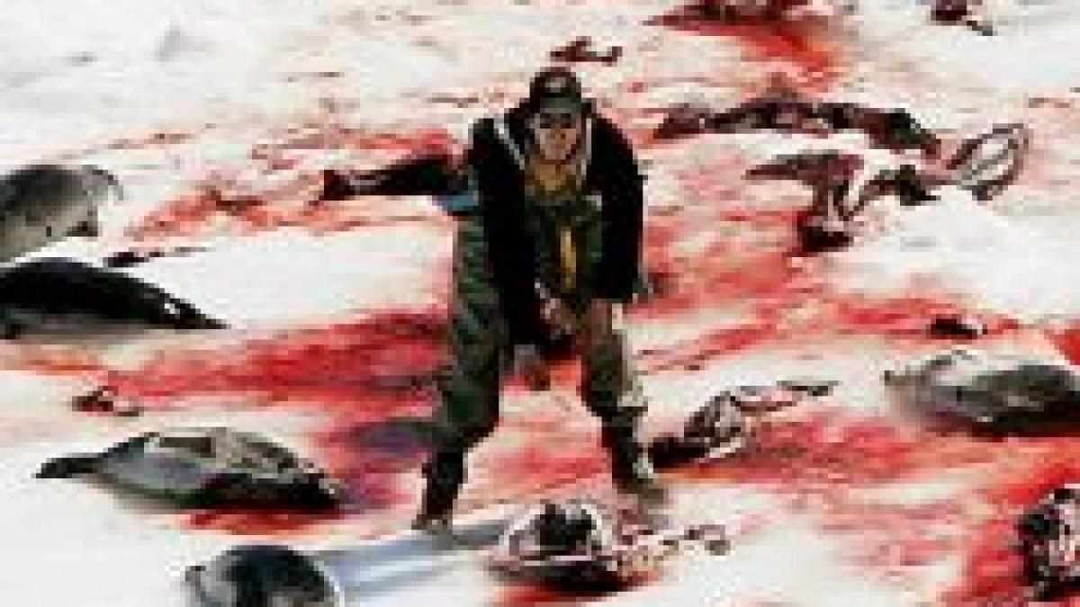 ue interzice importul de produse din foca