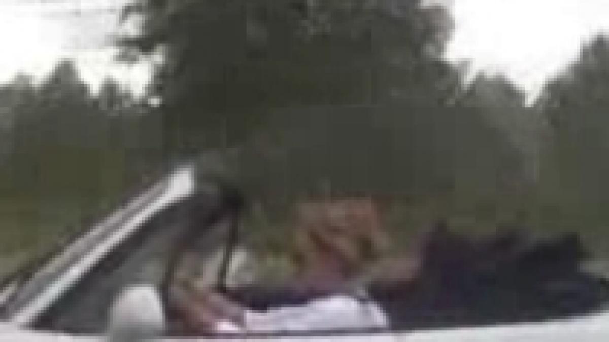 culmea sofatului o blonda conduce o decapotabila prin ploaie video