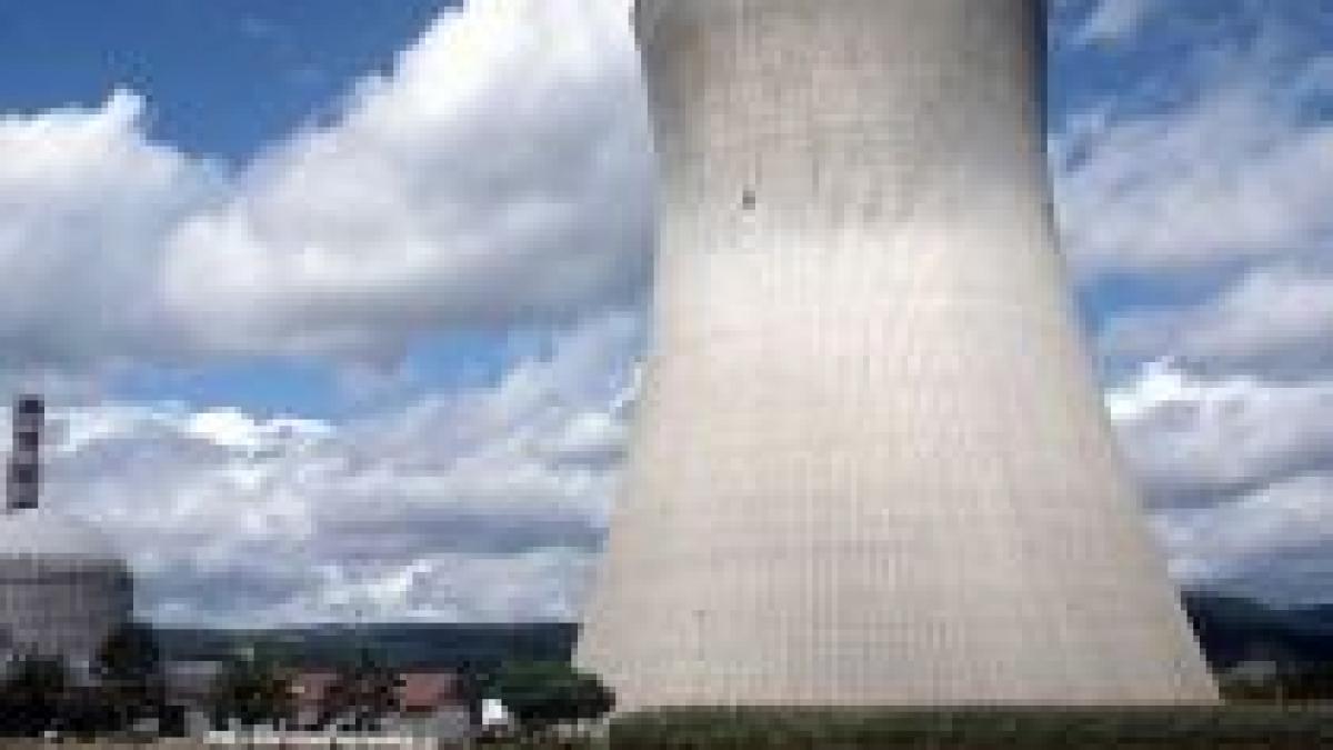 companiile straine vor avea 35 din a doua centrala nucleara din romania