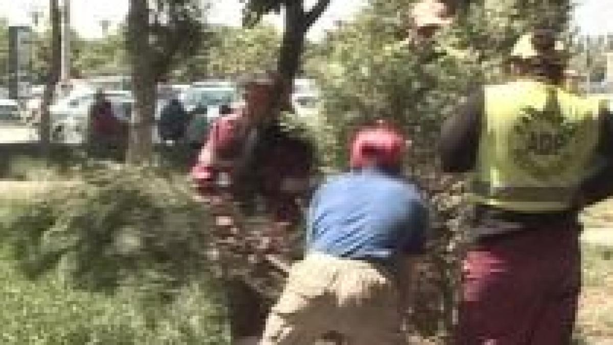 un parc din centrul bucurestiului va fi distrus pentru a face loc monumentului holocaustului