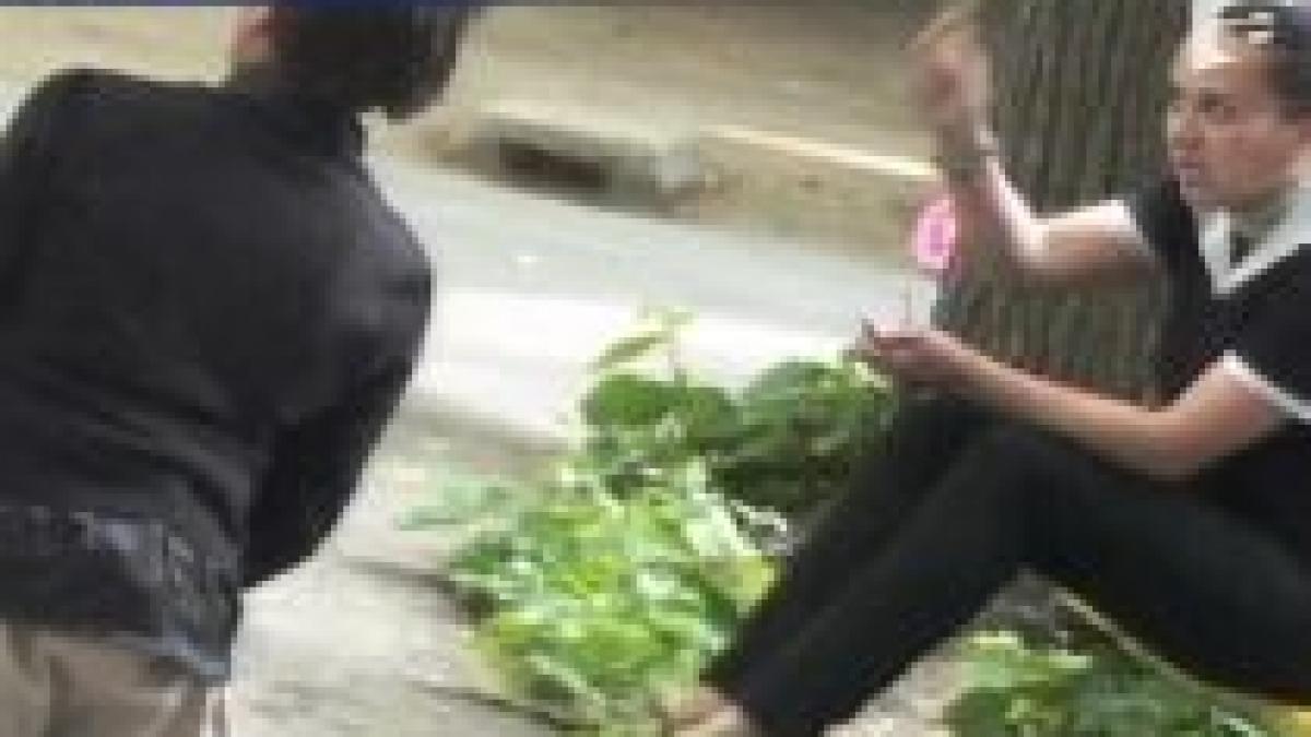 educatie cu nuiaua intr un parc public din craiova video